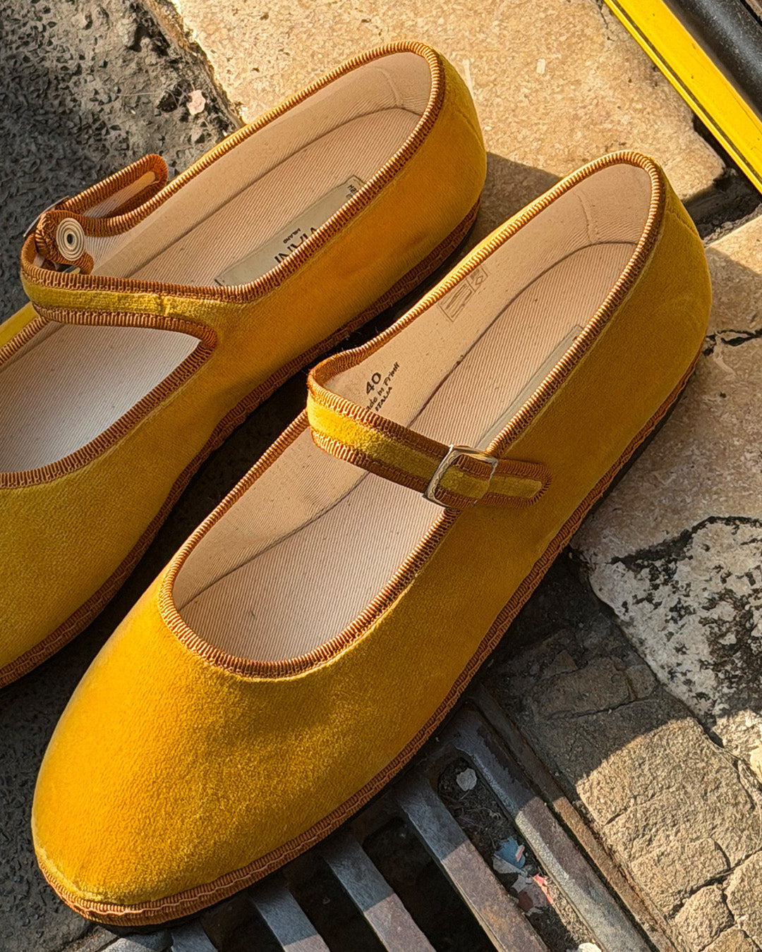 Marigold Mary Jane Friulane