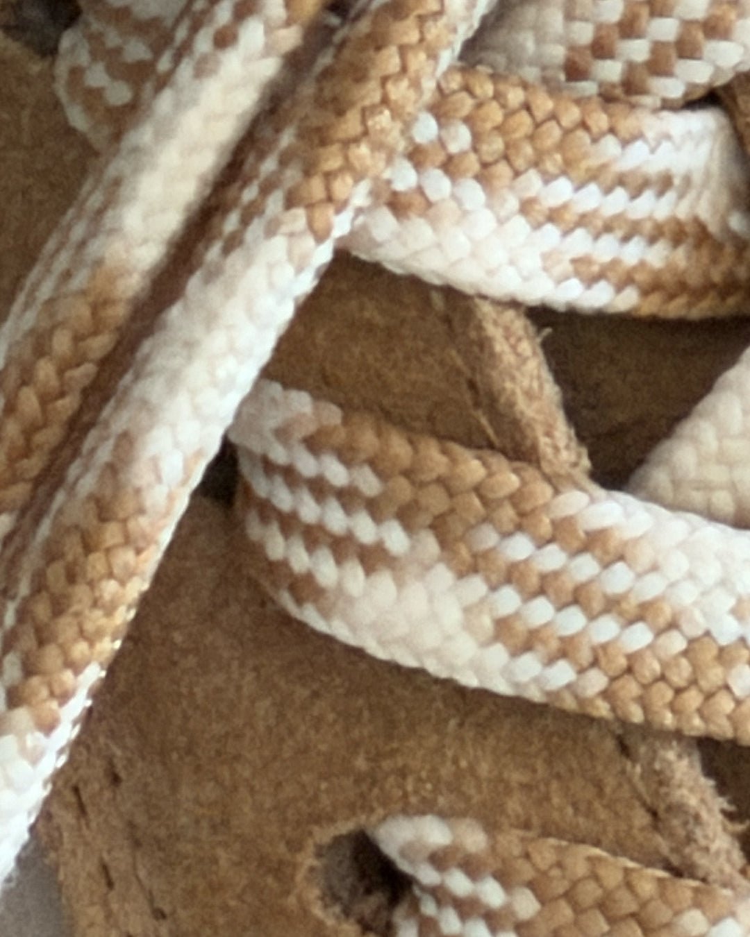 Torino Corsa Sneaker