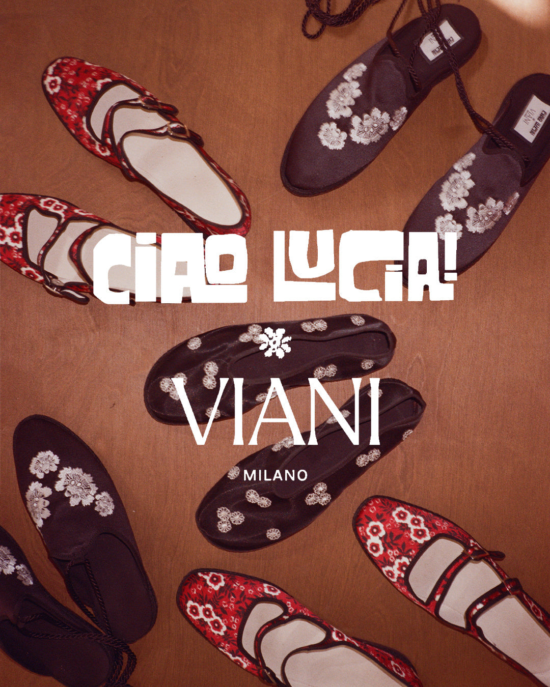 Ciao Lucia x Viani Milano