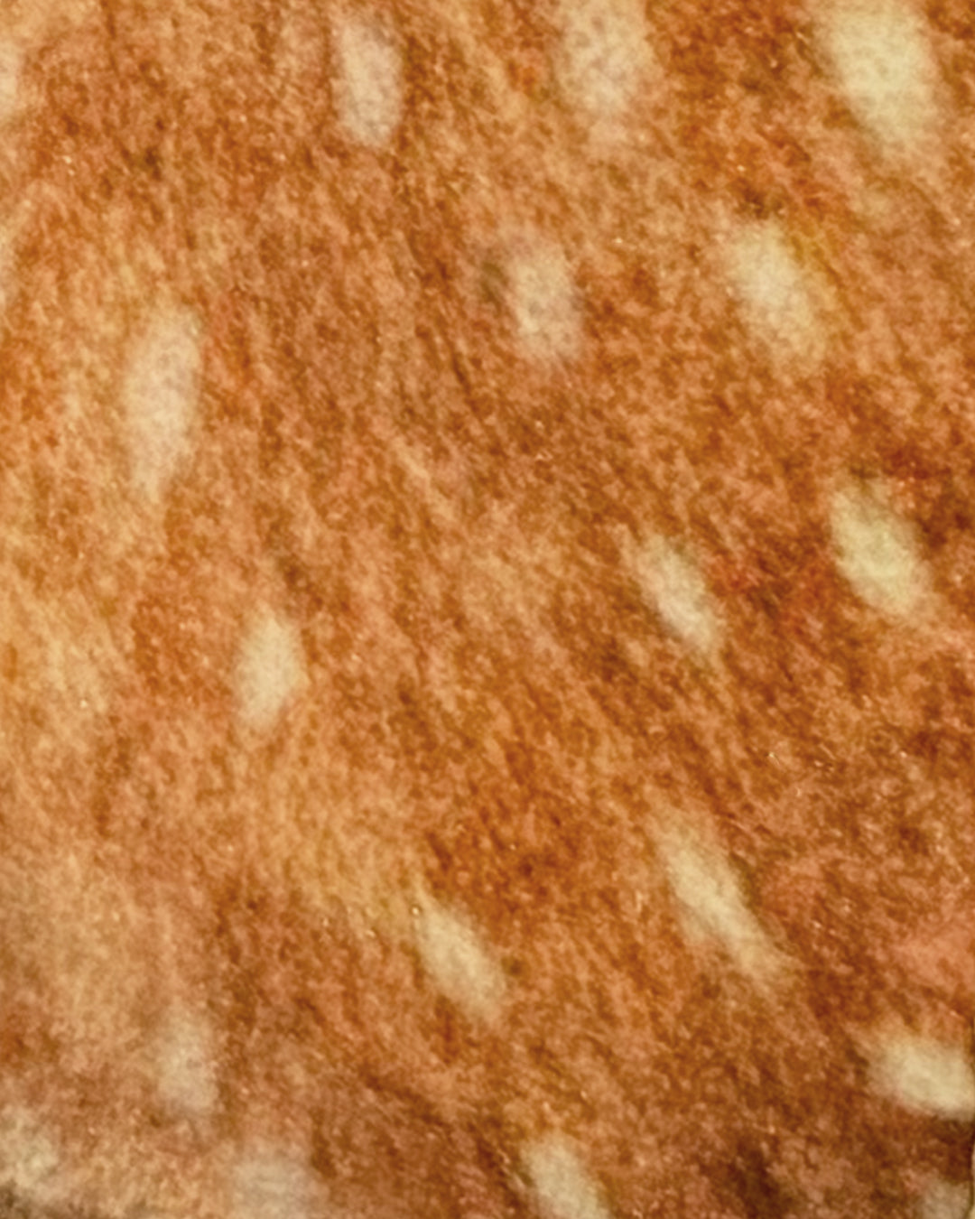 Bambi Double Mary Jane Friulane